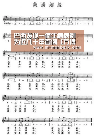 万博体育官网